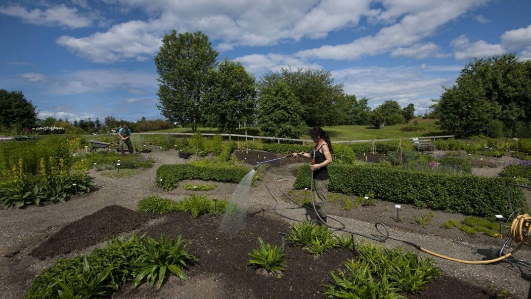 NTNU Ringve Botanical Garden, Norway